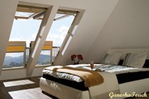 Galeria20 850-585
